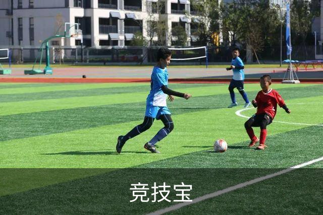 竞技宝公司简介
